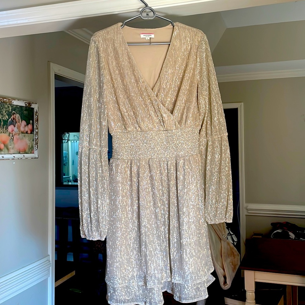 Holiday Champagne colored dress